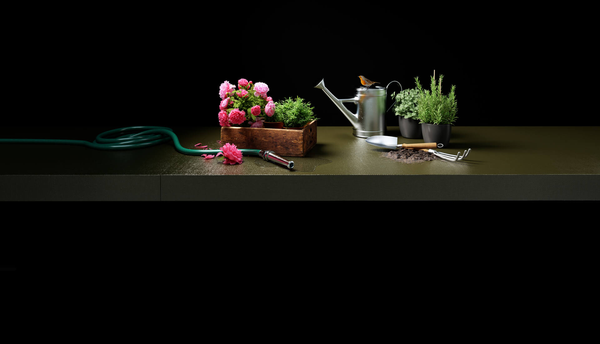 lorem ipsum dolor sit